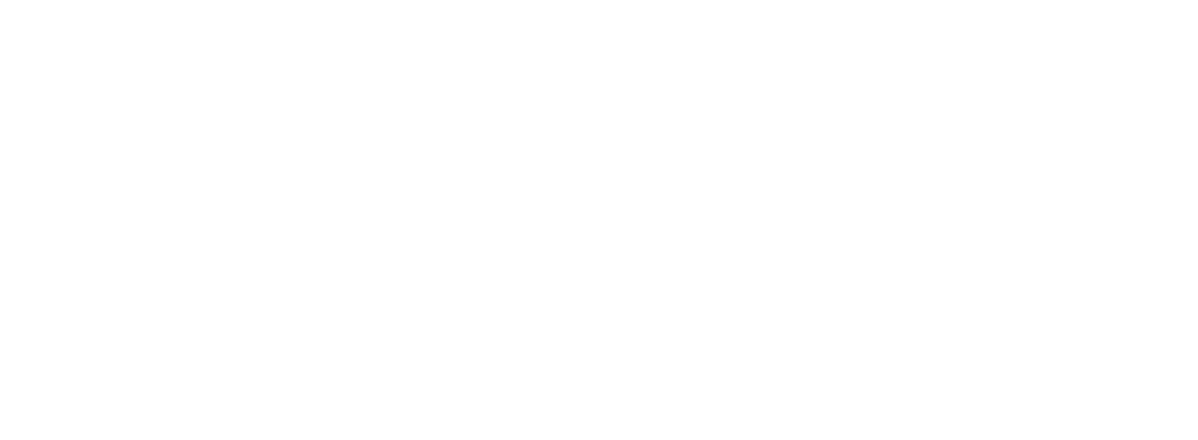 Lerzic